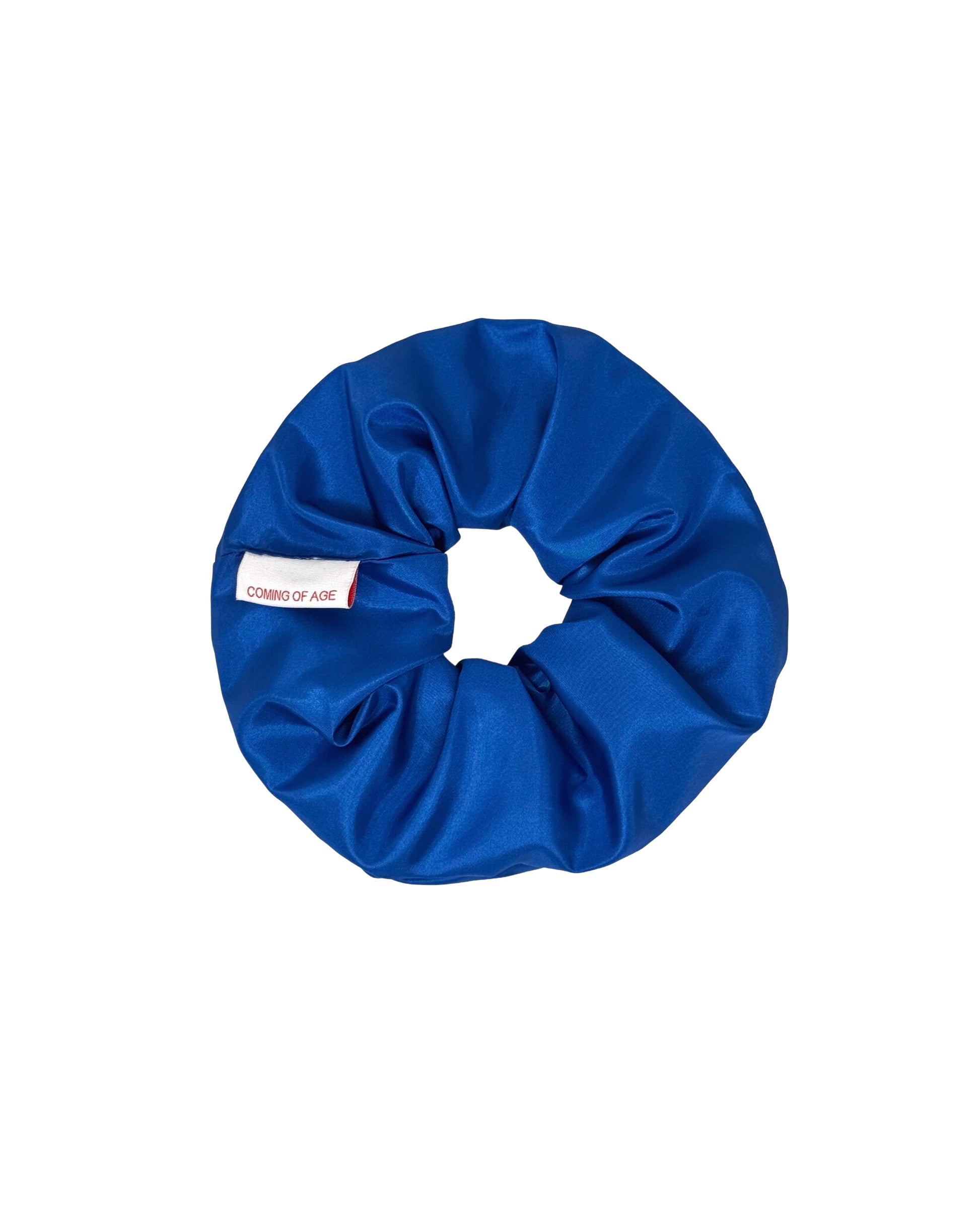 COA NYC | SCRUNCHIE IN WINTERKSY