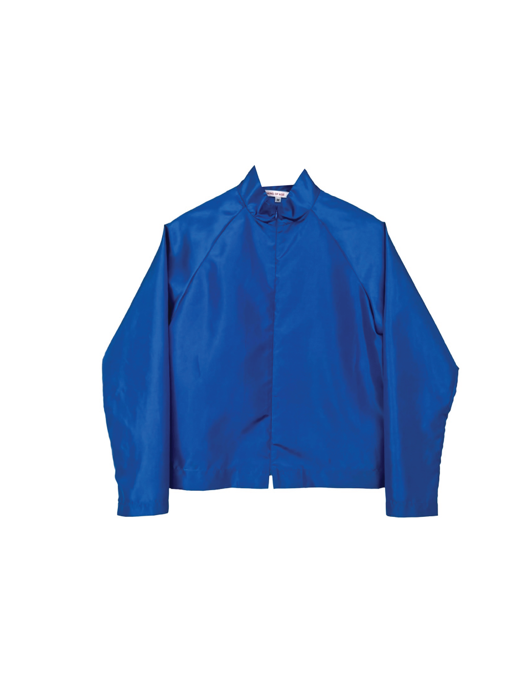 LIGHTWEIGHT BOMBER IN WINTERSKY